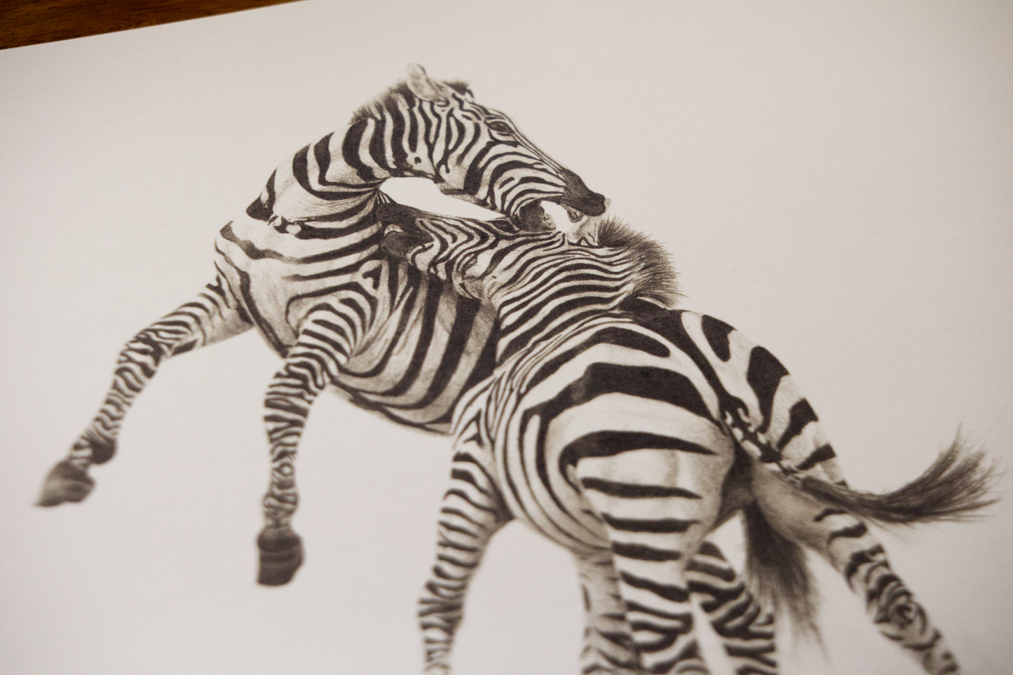 'Fighting Stallions' Limited Fine Art Print.