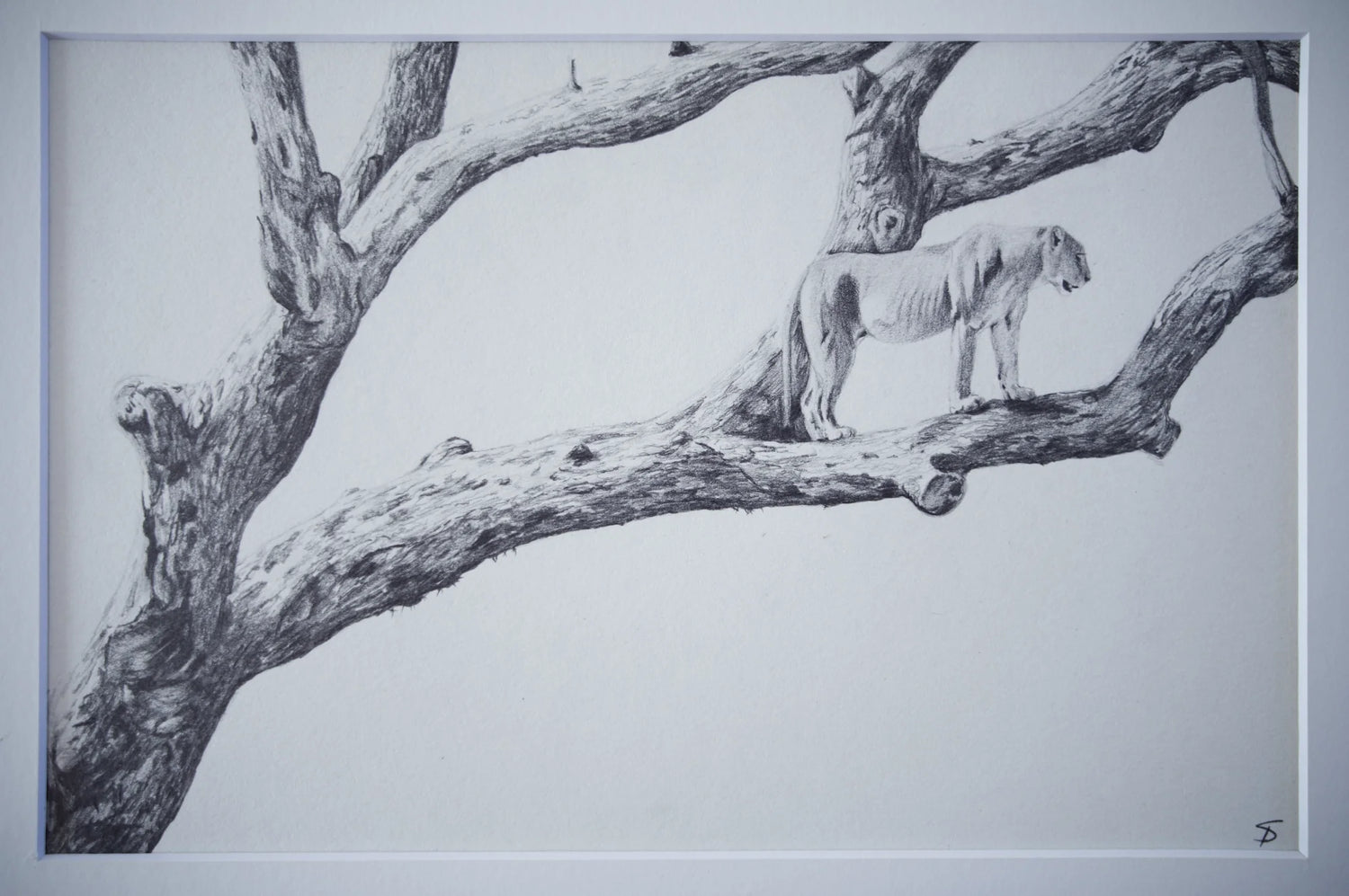 Original Artworks