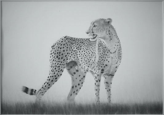 'A Breath Ahead' Original Artwork
