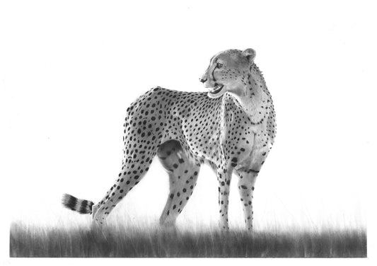 'A Breath Ahead' Limited Fine Art Print