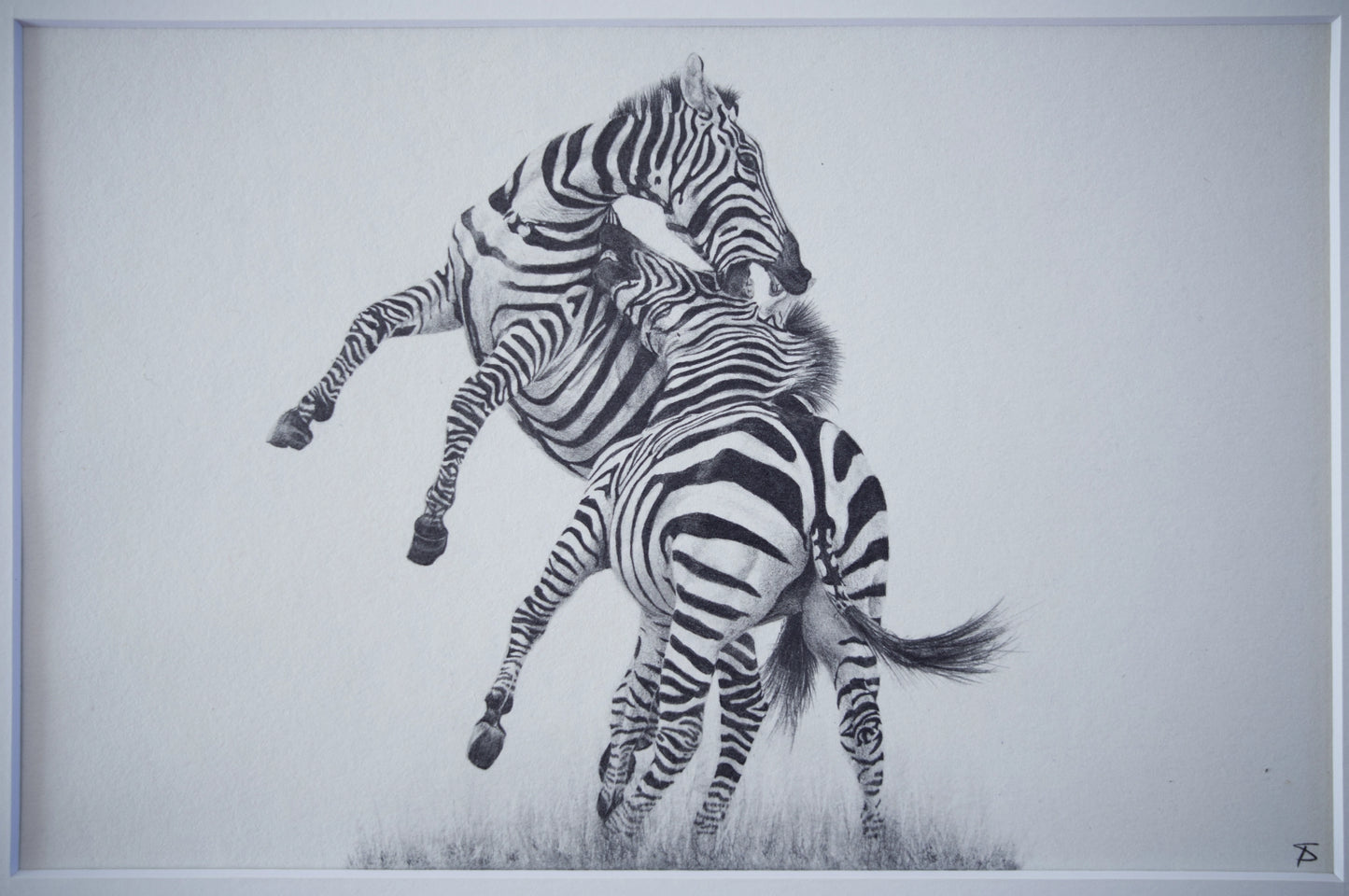 'Fighting Stallions' Original Artwork