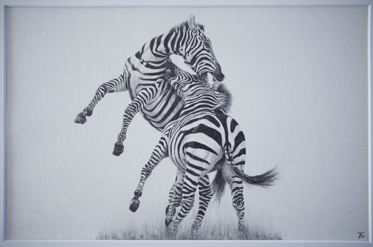 'Fighting Stallions' Original Artwork