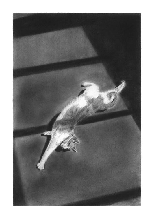 'Hallway Cat 1' Fine Art Print