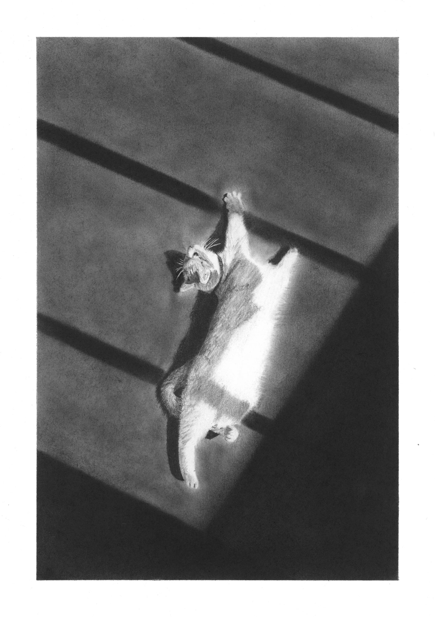 'Hallway Cat 2' Fine Art Print