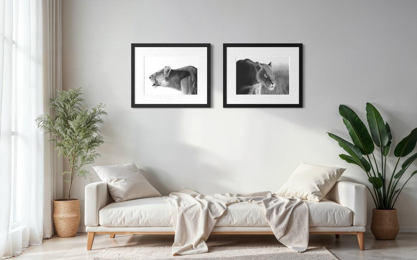 'Savanna Shark' Limited Fine Art Print