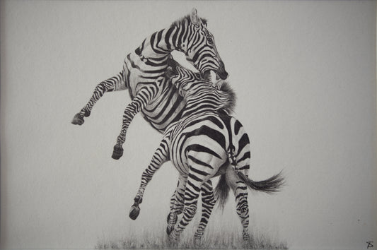 'Fighting Stallions' Original Artwork