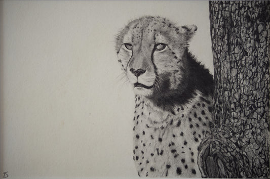 'Mystic Cheetah' Original Artwork