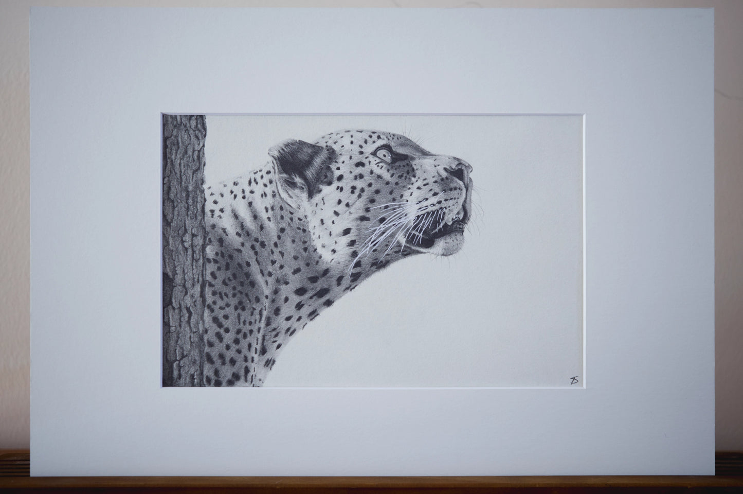 'Leopards Gaze' Original Artwork
