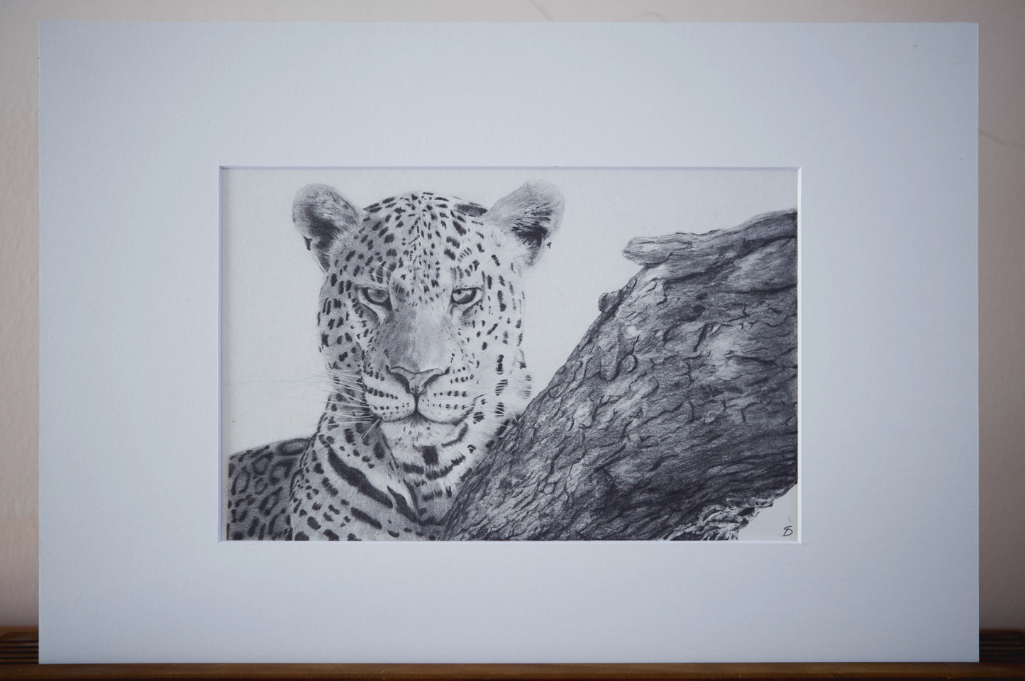 'Leopards Stare' Original Artwork
