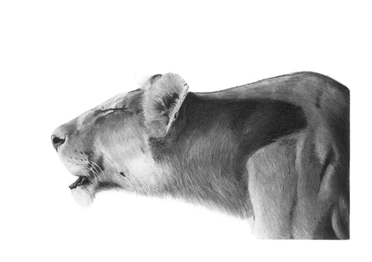 'Mothers Call' Fine Art Print