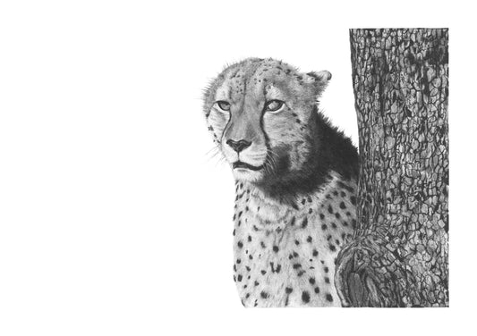 'Mystic Cheetah' Fine Art Print