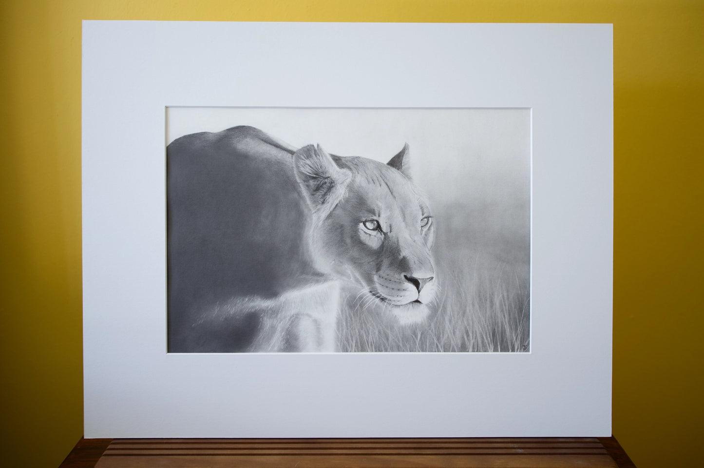 'Savanna Shark' Original Artwork