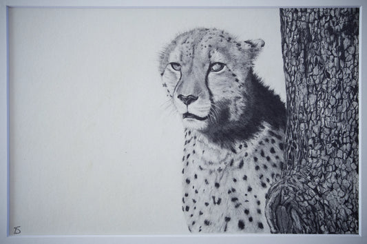 'Tebogo' Original Artwork